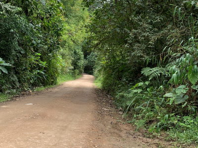 ENLACE English Language Centre photo